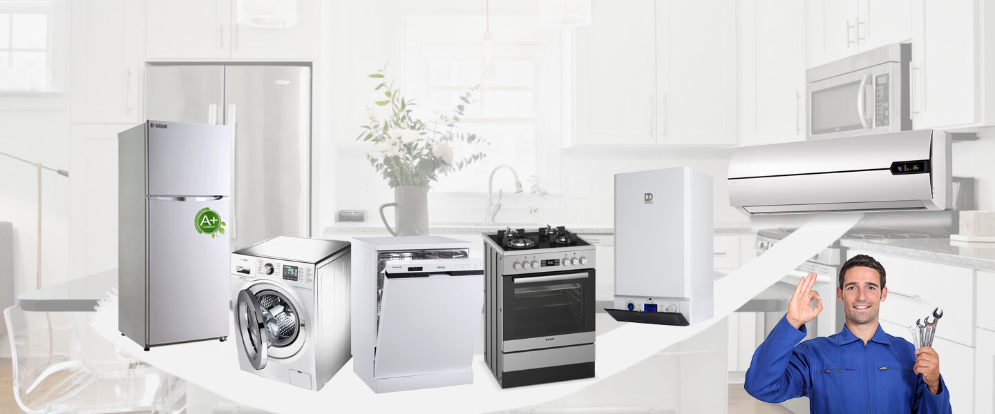 Asarlık Smeg Servisi
